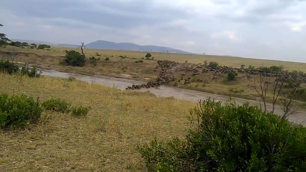 place video